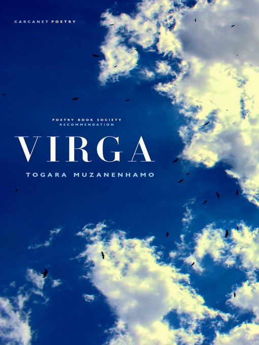 Title details for Virga by Togara Muzanenhamo - Available